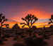 Google's Imagen 4 text-to-image model promises 'significantly improved' boring images