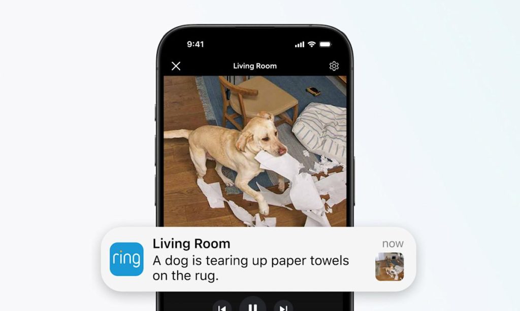 Ring's AI video descriptions tell you who's doing what