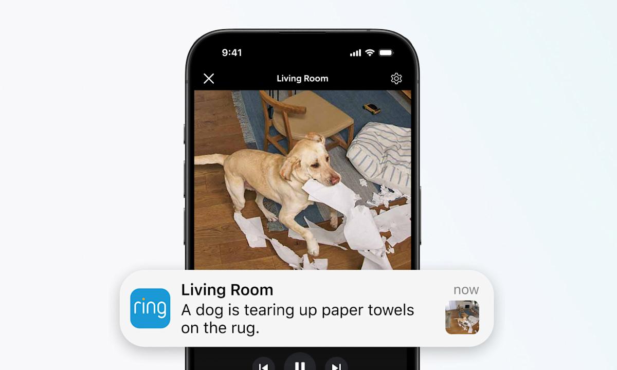 Ring’s AI video descriptions tell you who’s doing what Ring’s AI video descriptions tell you who’s doing what