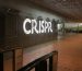 CRISPR can stop malaria spread by editing a single gene in mosquitos