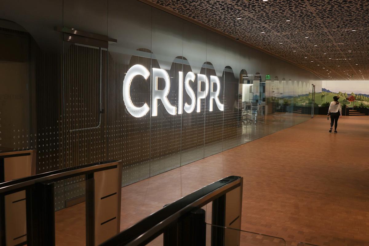 CRISPR can stop malaria spread by editing a single gene in mosquitos CRISPR can stop malaria spread by editing a single gene in mosquitos