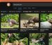 DuckDuckGo now allows you to filter out AI images in search results