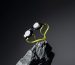 Form makes its smart swimming goggles tougher with Gorilla Glass lenses