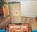 Pick up our favorite air purifier while it's $37 off for Prime Day
